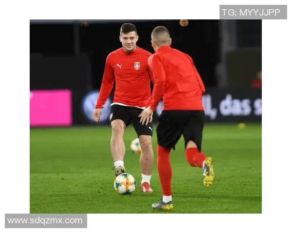 塞尔维亚足球国家队最新球员名单及其国际比赛表现分析 塞尔维亚足球国家队最新球员名单及其国际比赛表现分析