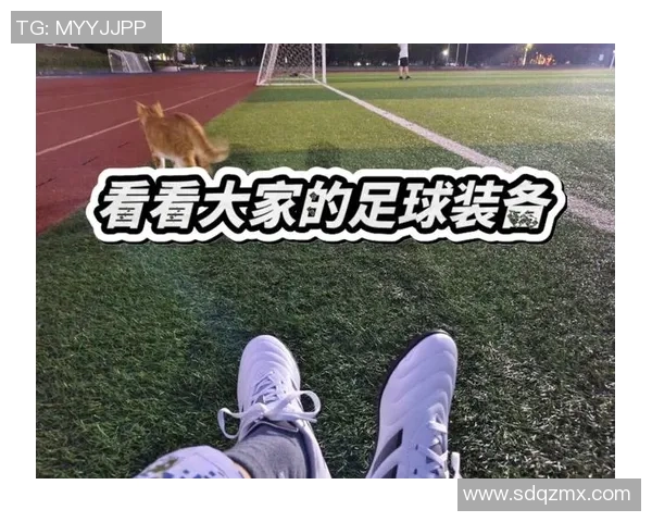 推荐几位脚法硬朗不易受伤的足球球星助你了解耐踢的最佳选择