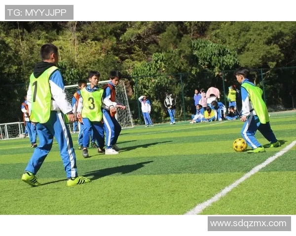 热血足球星星燃爆绿茵梦想少年追逐胜利激情永不熄灭 热血足球星星燃爆绿茵梦想少年追逐胜利激情永不熄灭