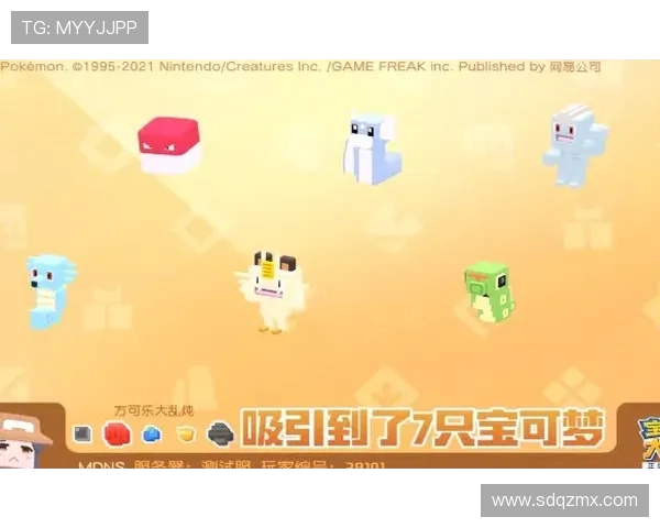 王敏独家分享网球心得与技巧助你提升球技的秘诀与经验
