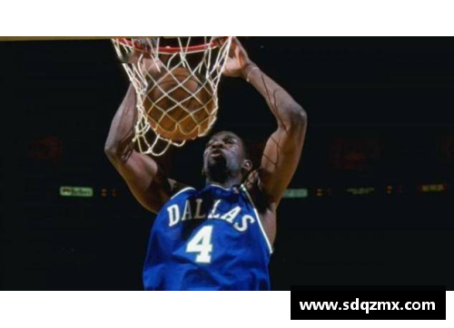 德克风云：NBA传奇巨星德克的生涯全记录