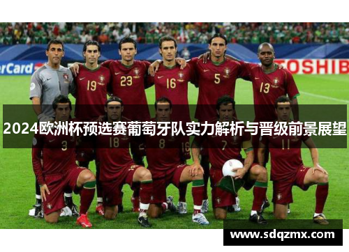 2024欧洲杯预选赛葡萄牙队实力解析与晋级前景展望